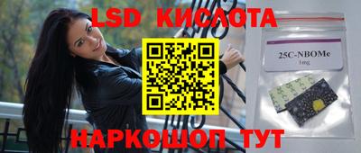 стаф Рязань