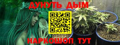 Альфа ПВП Севастополь