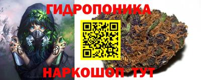 Альфа ПВП Севастополь